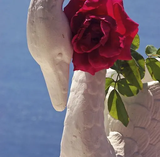 Pensjonat Hermes-ios To Let 3*